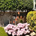 洛萨蓝光住宿加早餐酒店 住宿加早餐酒店