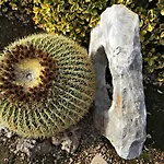 洛萨蓝光住宿加早餐酒店 3* 巴里