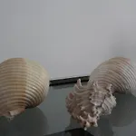 洛萨蓝光住宿加早餐酒店 住宿加早餐酒店