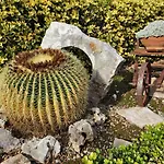 住宿加早餐酒店 洛萨蓝光住宿加早餐酒店 3*