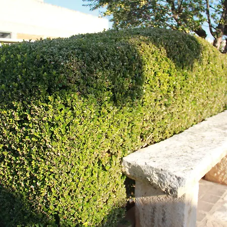 La Rosa Blu Отель типа 