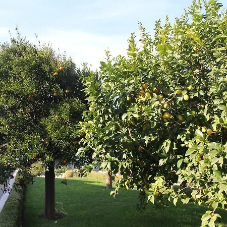 La Rosa Blu Bari