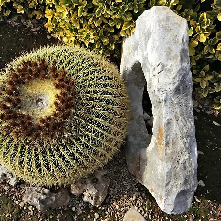 La Rosa Blu 3* Бари