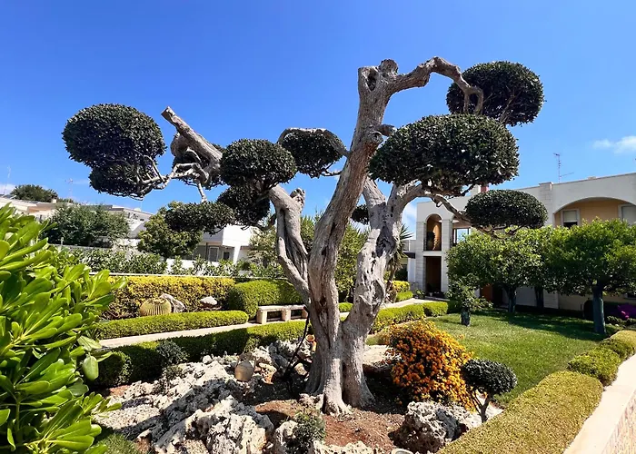 La Rosa Blu Couette-café Bari