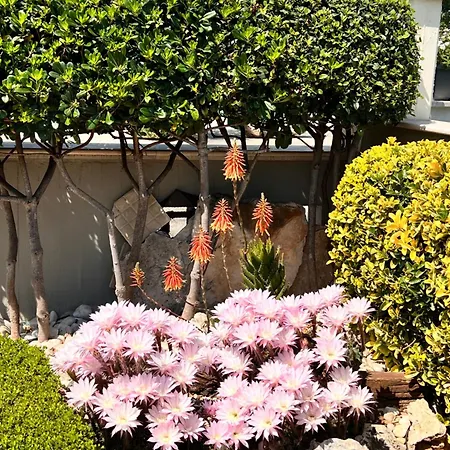 La Rosa Blu Bed and Breakfast