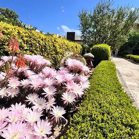 Bed and breakfast La Rosa Blu