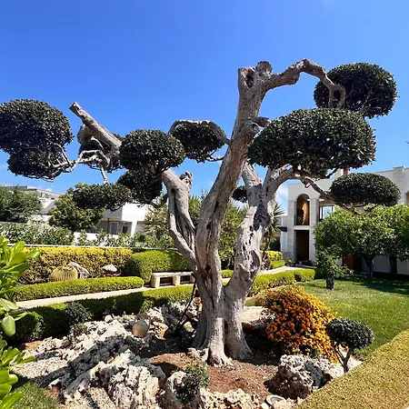 La Rosa Blu Bed and Breakfast Μπάρι