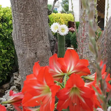 La Rosa Blu فندق مبيت وإفطار باري