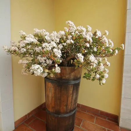 Bed and Breakfast La Rosa Blu Μπάρι