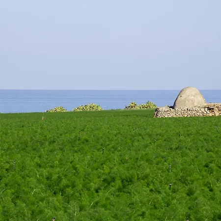 La Rosa Blu Bed and Breakfast Μπάρι